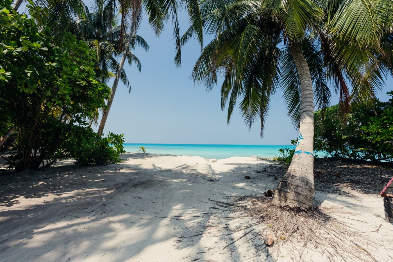 WhatsApp Image 2025-03-24 at 7.13.24 PM (1)